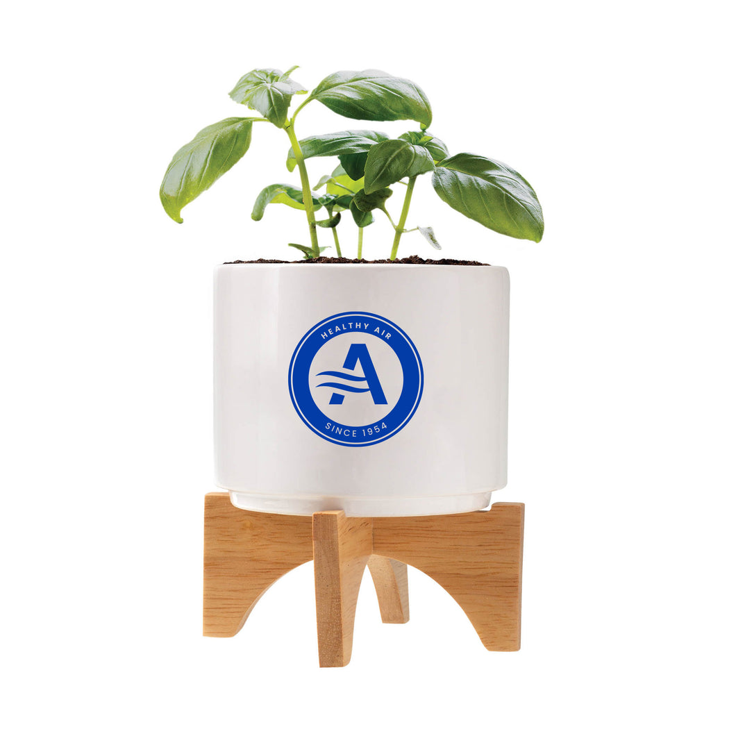 Healthy Air Ceramic Planter with Basil